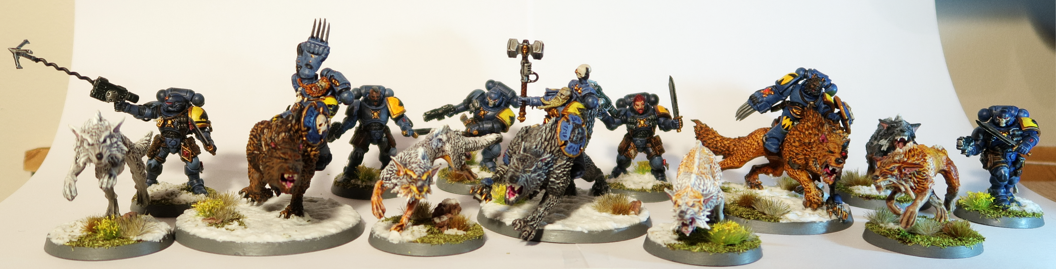 All Painted Space Wolves Units cover image